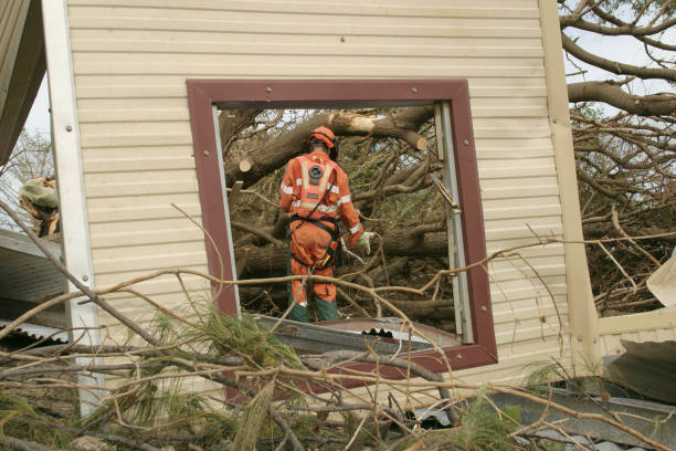 Best Tree Removal  in Melrose, MN